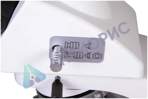 Цифровой микроскоп Levenhuk MED D25T LCD